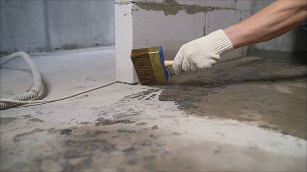 24/7 Emergency Waterproofing experts in Wilmer, AL